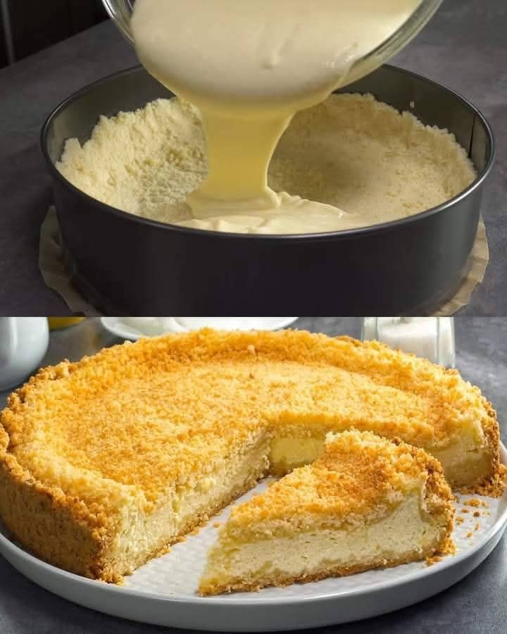 Classic Cottage Cheese Cake 1 Classic Cottage Cheese Cake