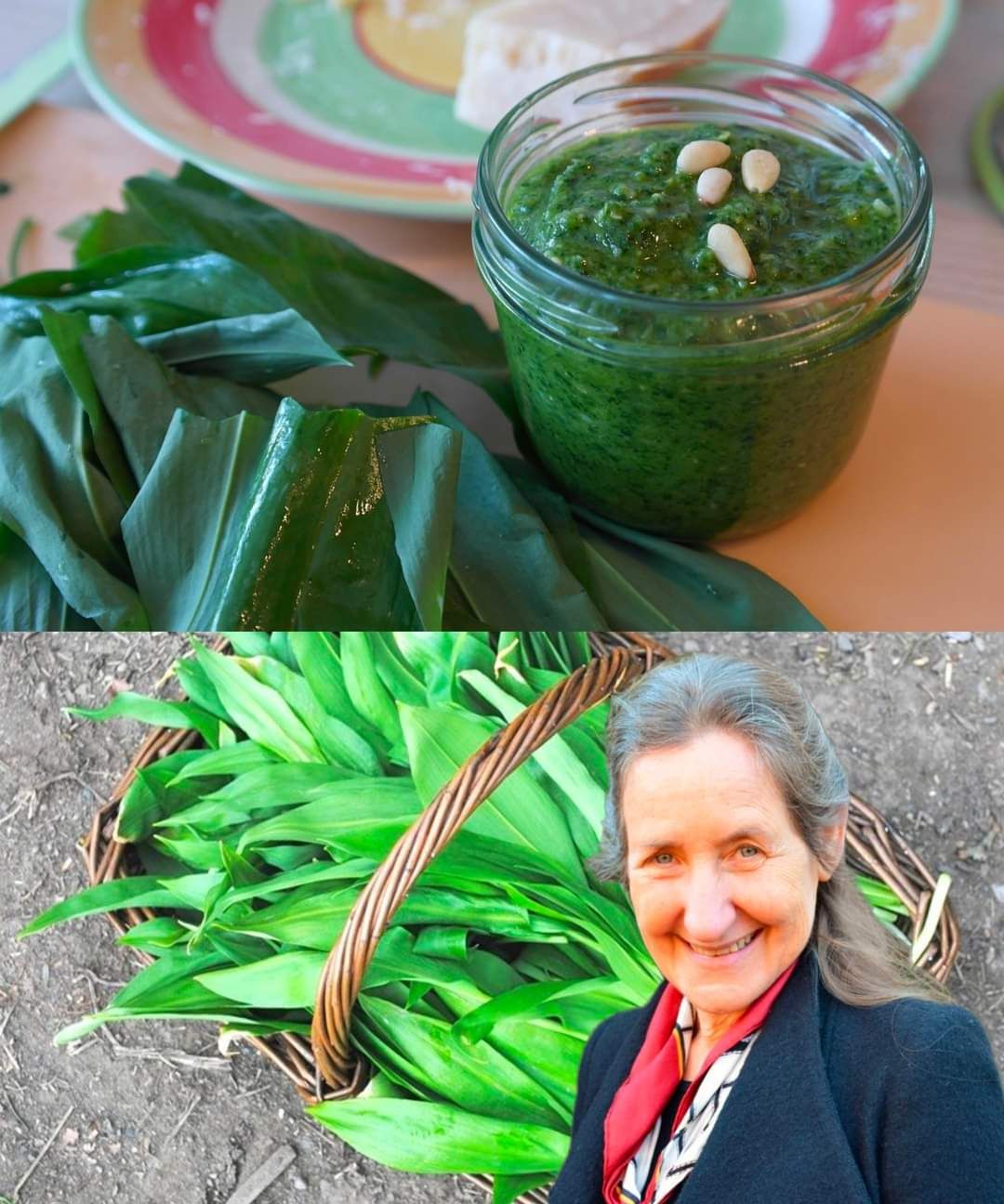 Uncovering Wild Garlic's Potential as a Natural Health Supplement 1