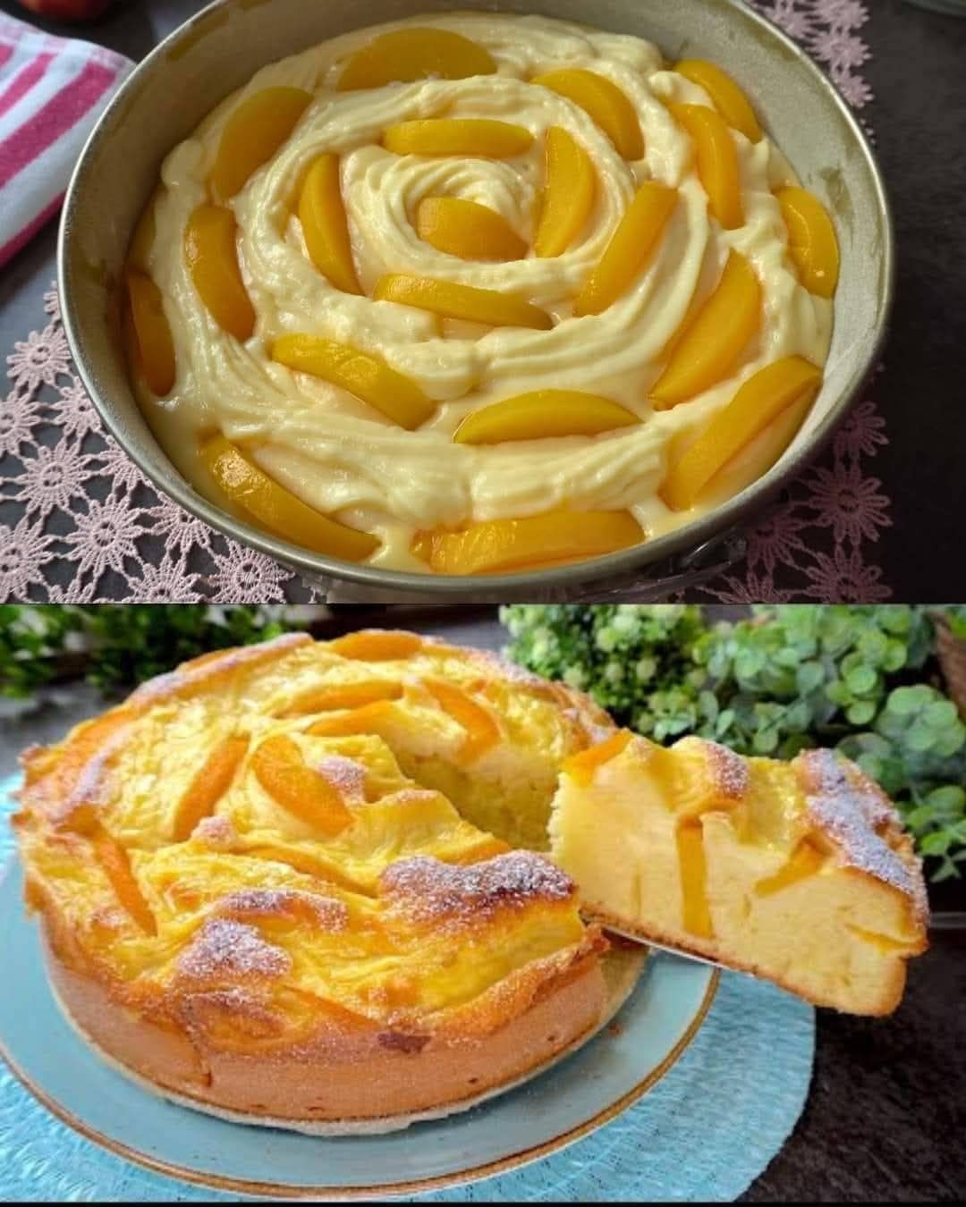 Apricot Cake with Creamy Pudding 1 Apricot Cake with Creamy Pudding