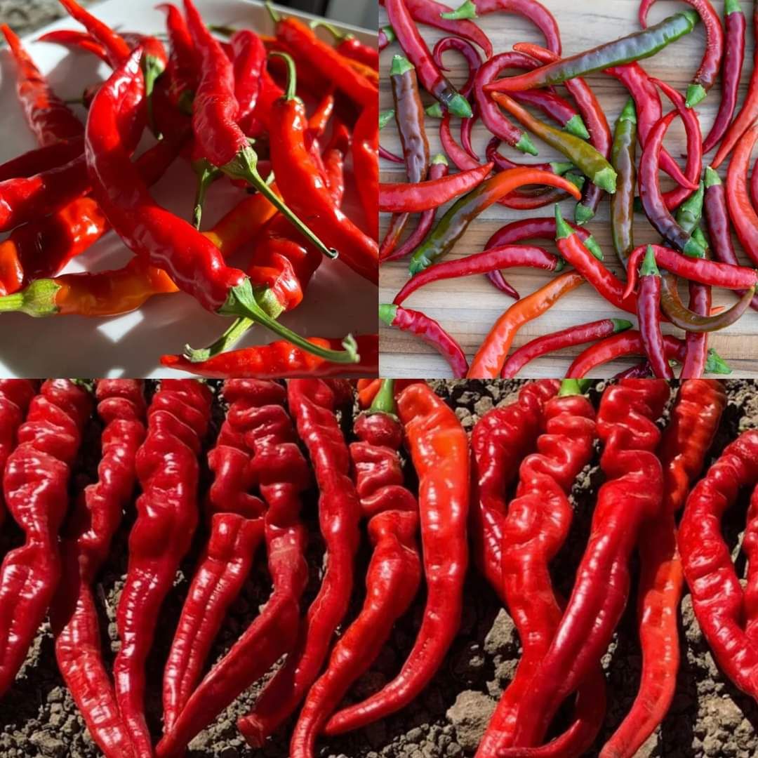 Secrets of Cayenne Pepper That Seem Illegal to Know 1