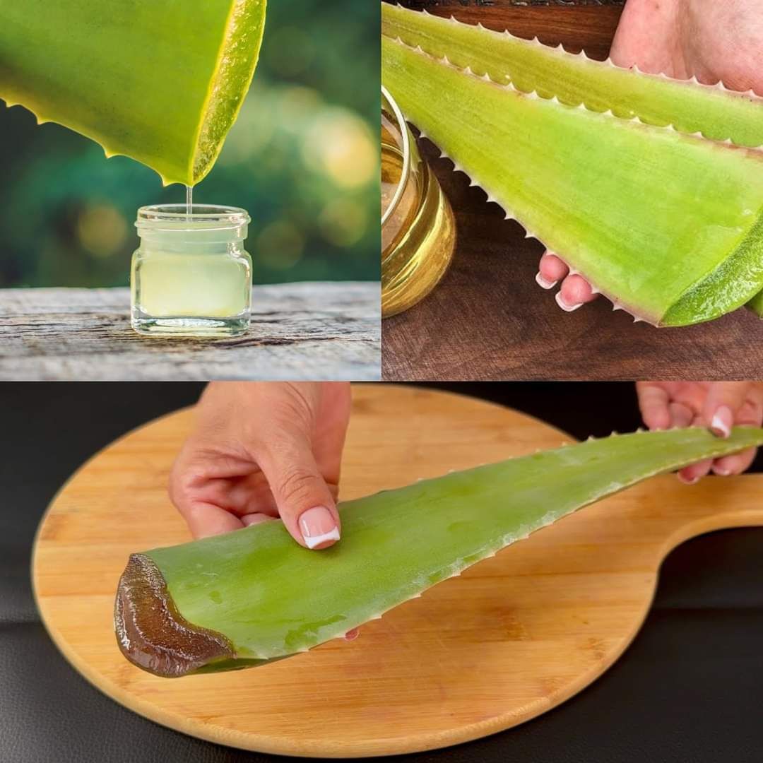 Aloe Vera Natural Collagen Removes Every Wrinkle 1