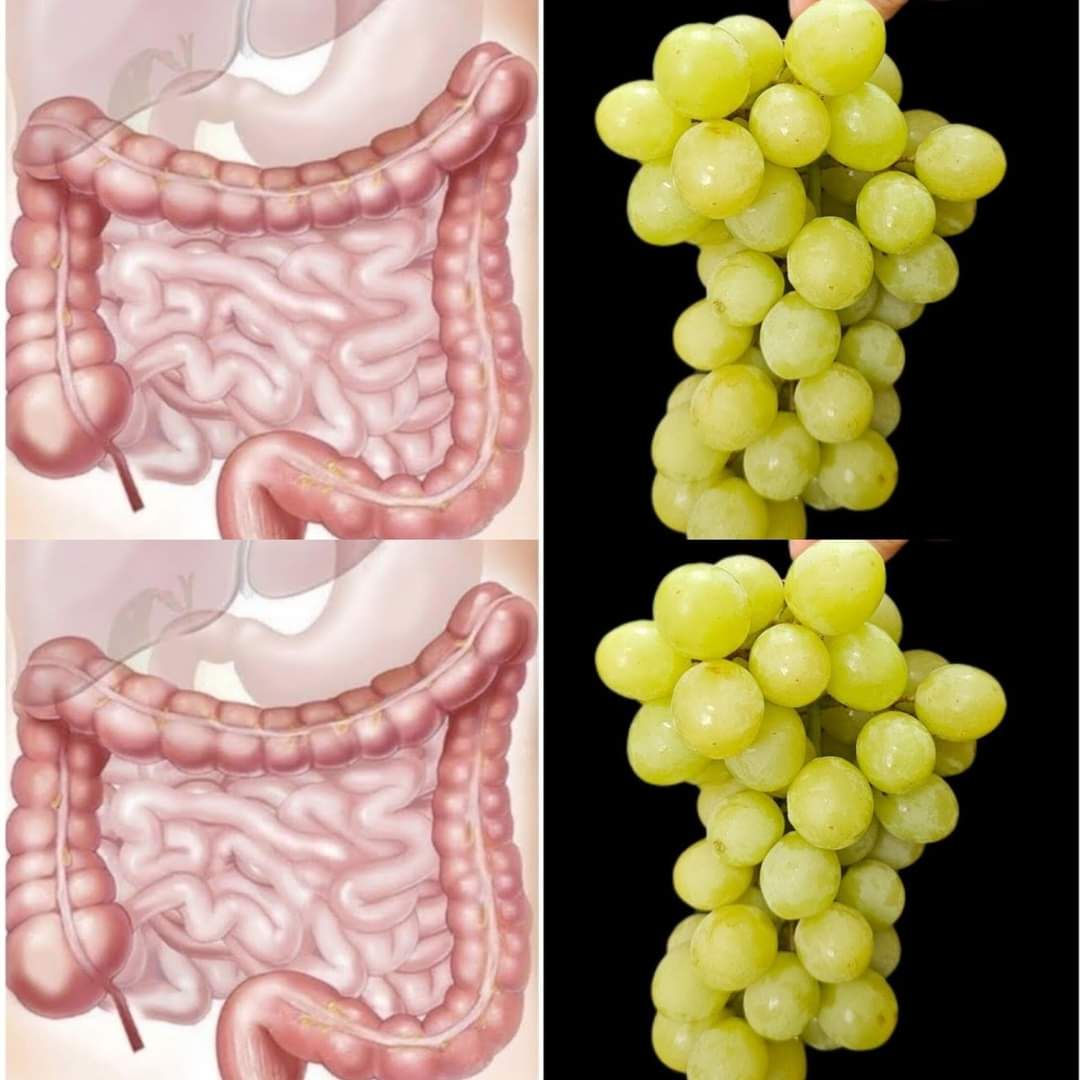 The liver and intestines are like new Three Days with Grapes Everything Is Revealed 1