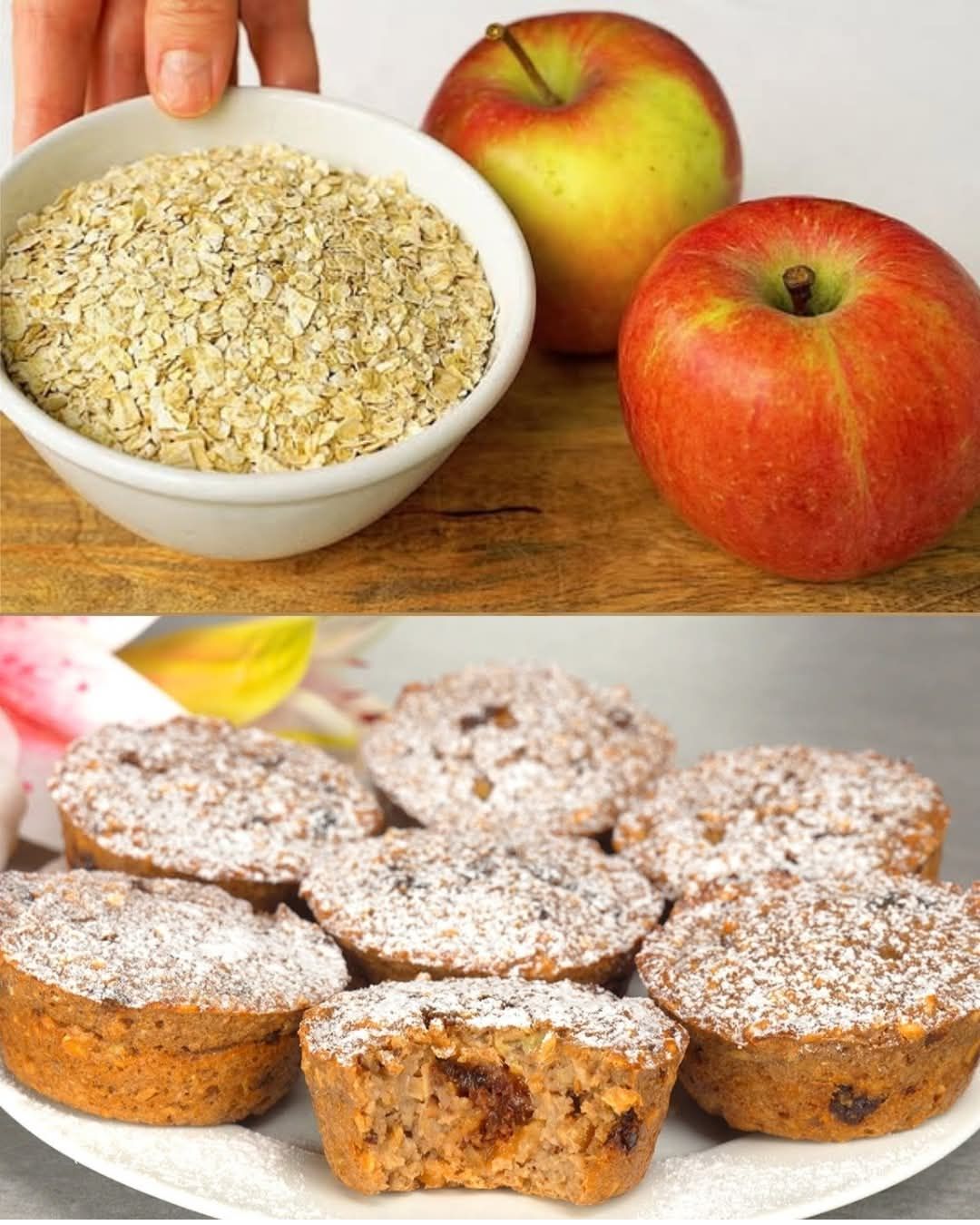 Chocolate Apple Oatmeal Bars 1 Chocolate Apple Oatmeal Bars