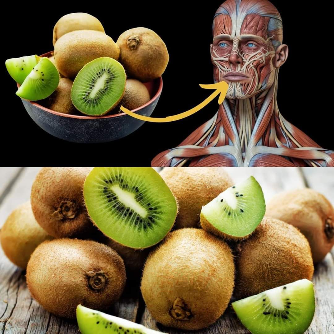 The Effects of Daily Kiwi Fruit Consumption on Your Body 1
