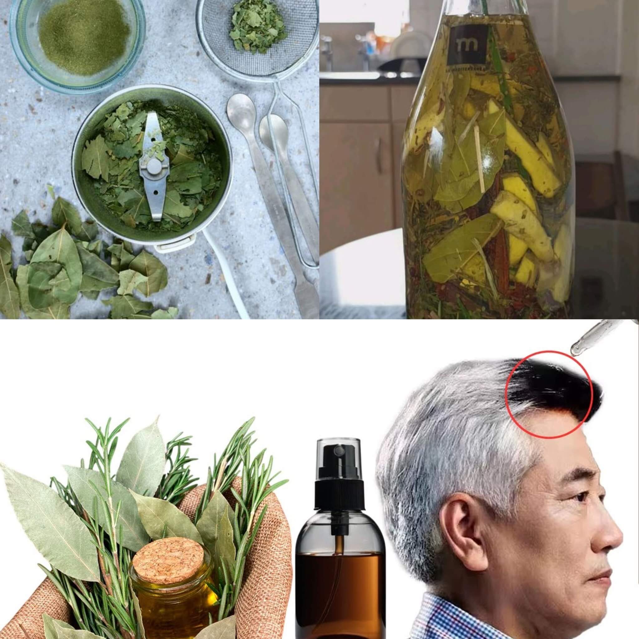 Black and Thick Hair at 65: Only Two Ingredients Bay Leaves and Rosemary 1