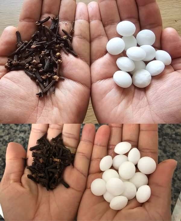 No One Will Ever Tell You About the Secret of Clove and Mothball Mix 1