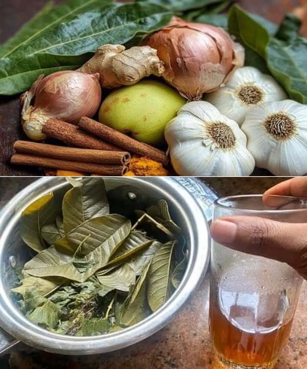 Garlic Turmeric Onion Ginger Cinnamon and Guava Leaves Tea 1