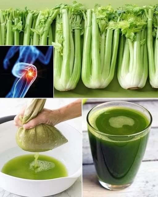 Diuretic and Depurative Properties of Celery Water 1