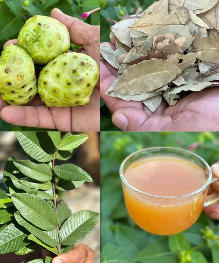Use This Natural Recipe to Bid Farewell to Major Health Issues 1