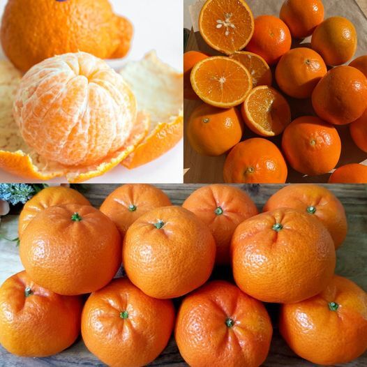 Mandarins An Organic Way to Help Cleanse the Liver Lungs and Kidneys 8
