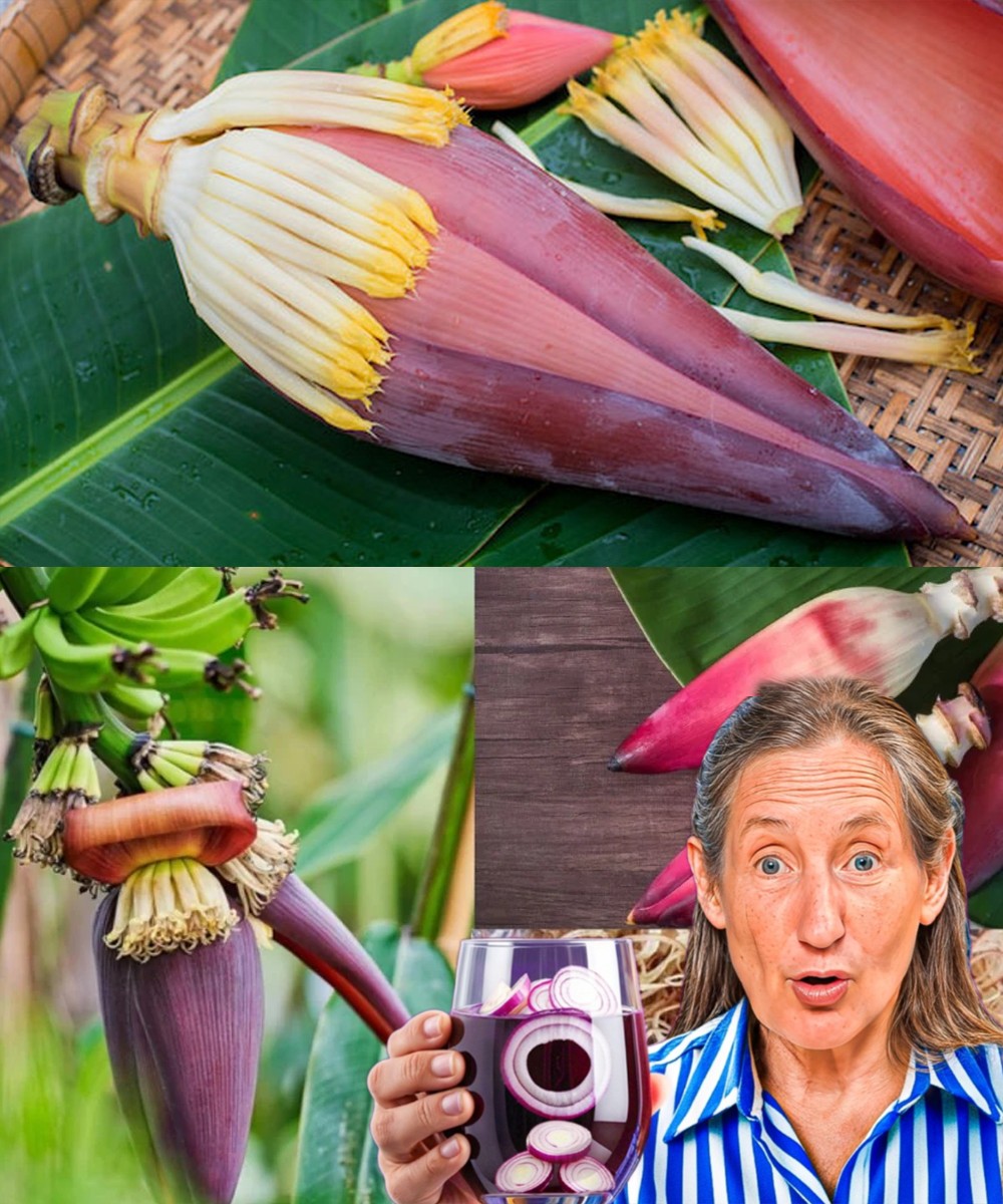 Natural Treatments for Diabetes, Stomach Problems, and High Blood Pressure with Banana Blossoms 7