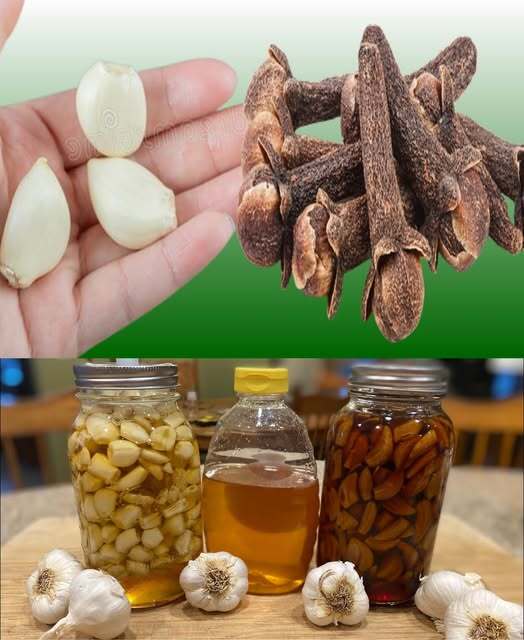Unlocking the Power of Garlic, Cloves, and Honey 1