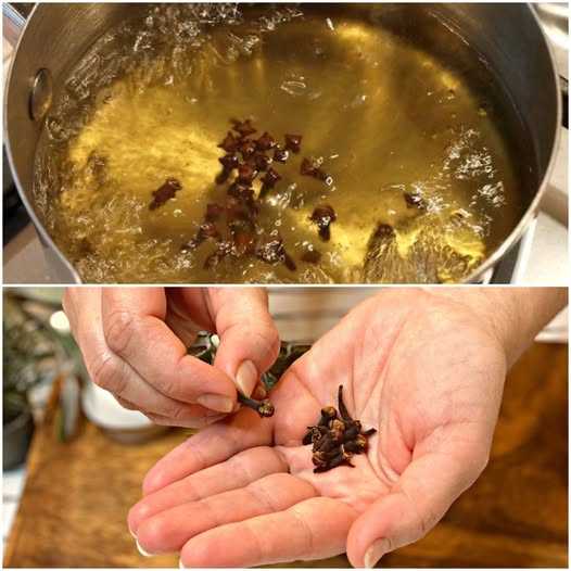 Clear Your Lungs and Quit Coughing in Three Days 1