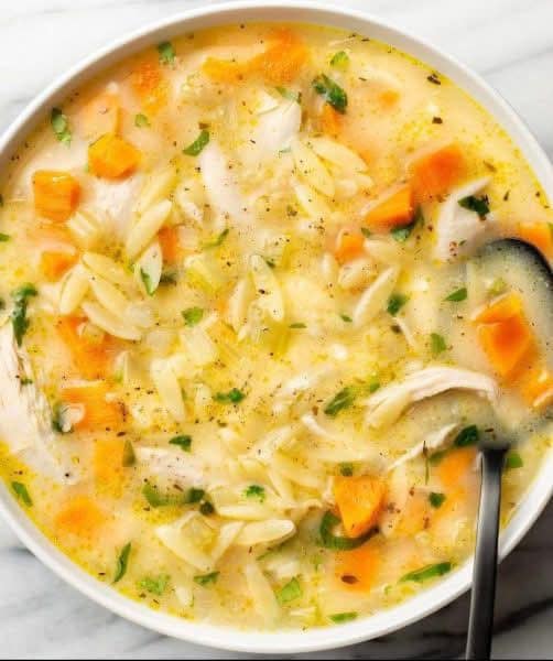 Weight Watcher Chicken Orzo Soup with Lemon 1