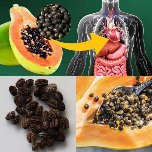Papaya Seeds: Surprising Benefits and Important Risks to Consider 1