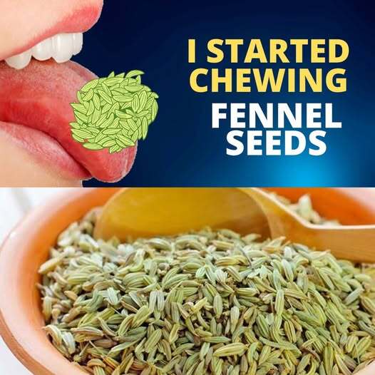 Benefits of Fennel Seedds 1