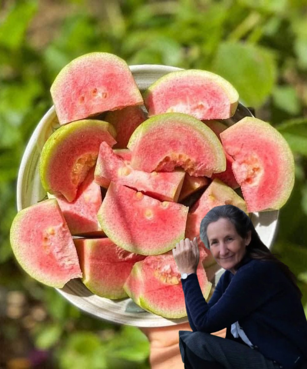 Twelve Things to Consider Before Consuming Guava 1