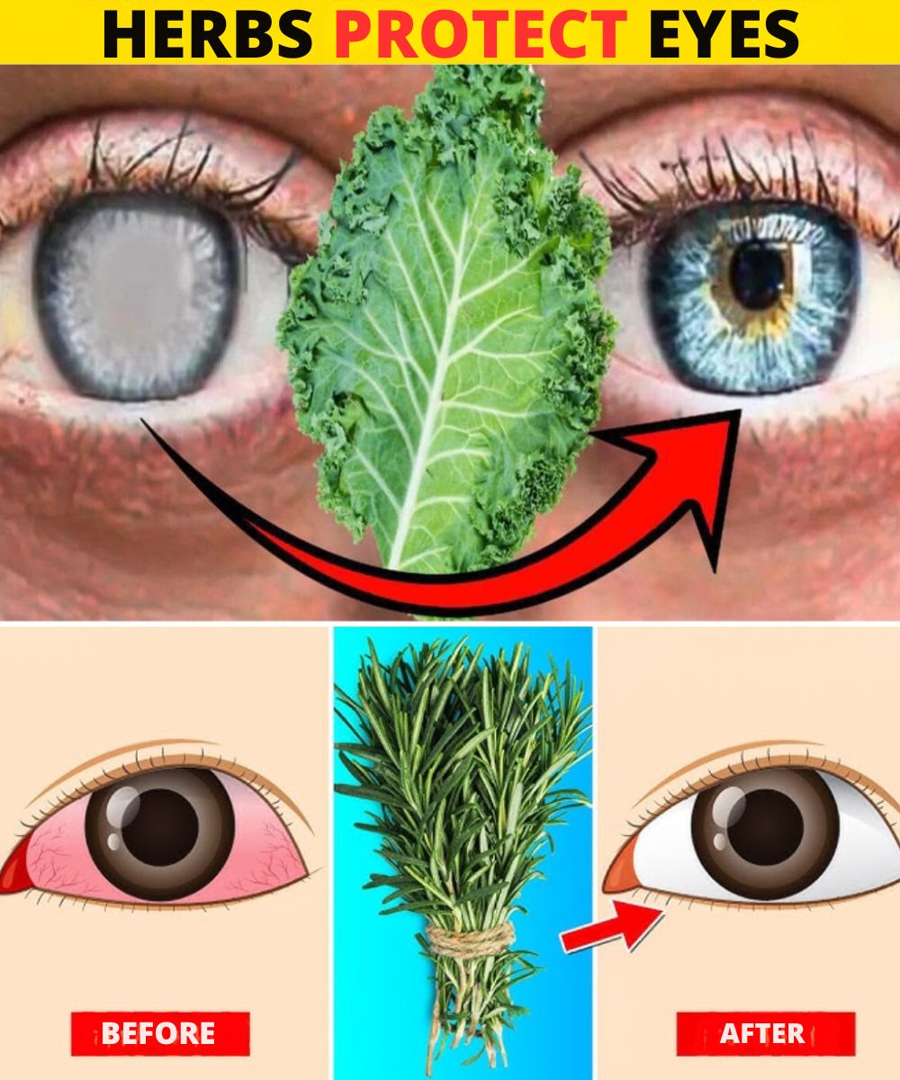 Five Potent Leaves That Naturally Improve Eye Health 1