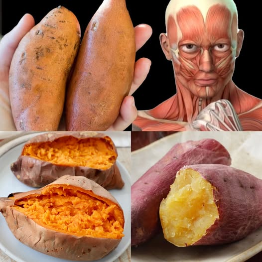 What Takes Place When You Begin Eating Sweet Potatoes Daily 1