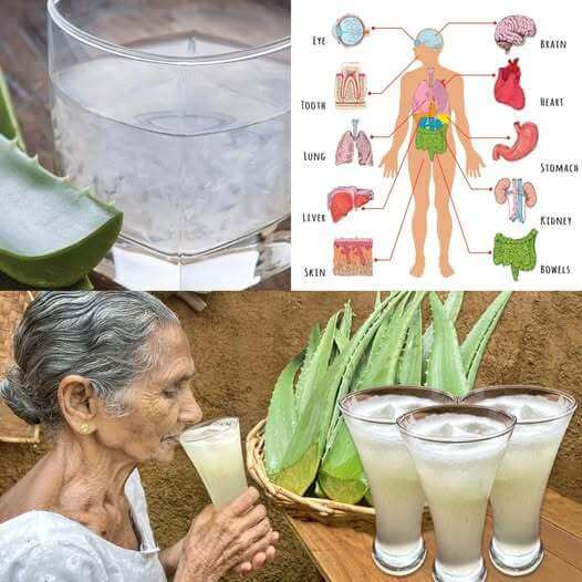 8 Health Benefits of Aloe Vera Juice 1