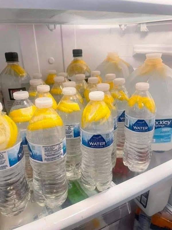 Ginger water's potential to assist with weight management is shown in this article. 1