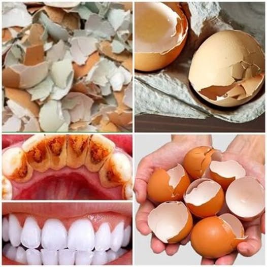 Whiten Your Teeth Naturally with Eggshell Powder – A Simple DIY Remedy! 1
