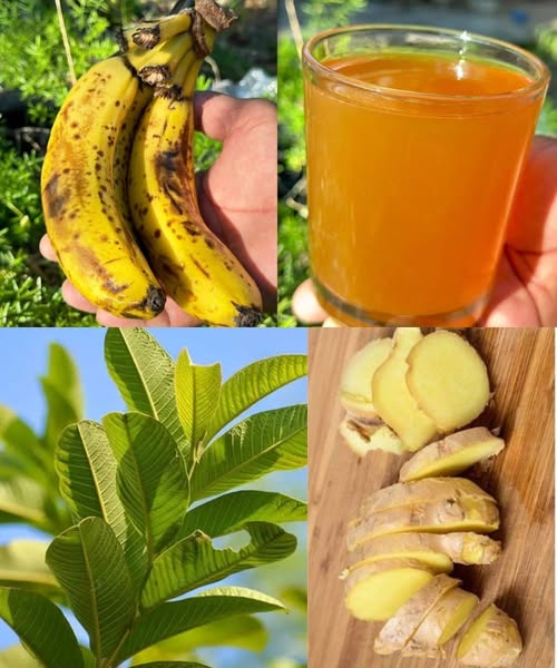 Powerful Remedy for Diabetes, High Blood Pressure, and Poor Circulation 1