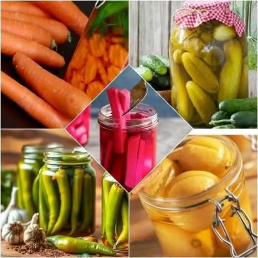 Quick Pickling Methods for Turnips, Carrots, Cucumbers, Green Peppers, and Lemons  1