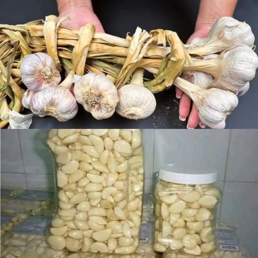 All Toxins Disappear in 3 Days 1