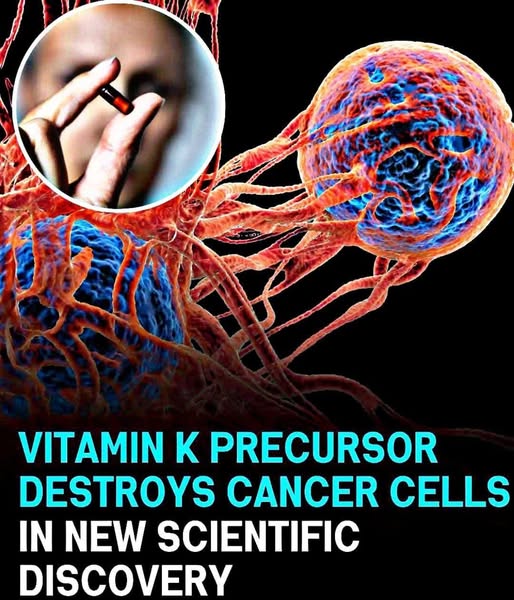 Vitamin K-Rich Salad with Fermented Tofu and Salmon 1