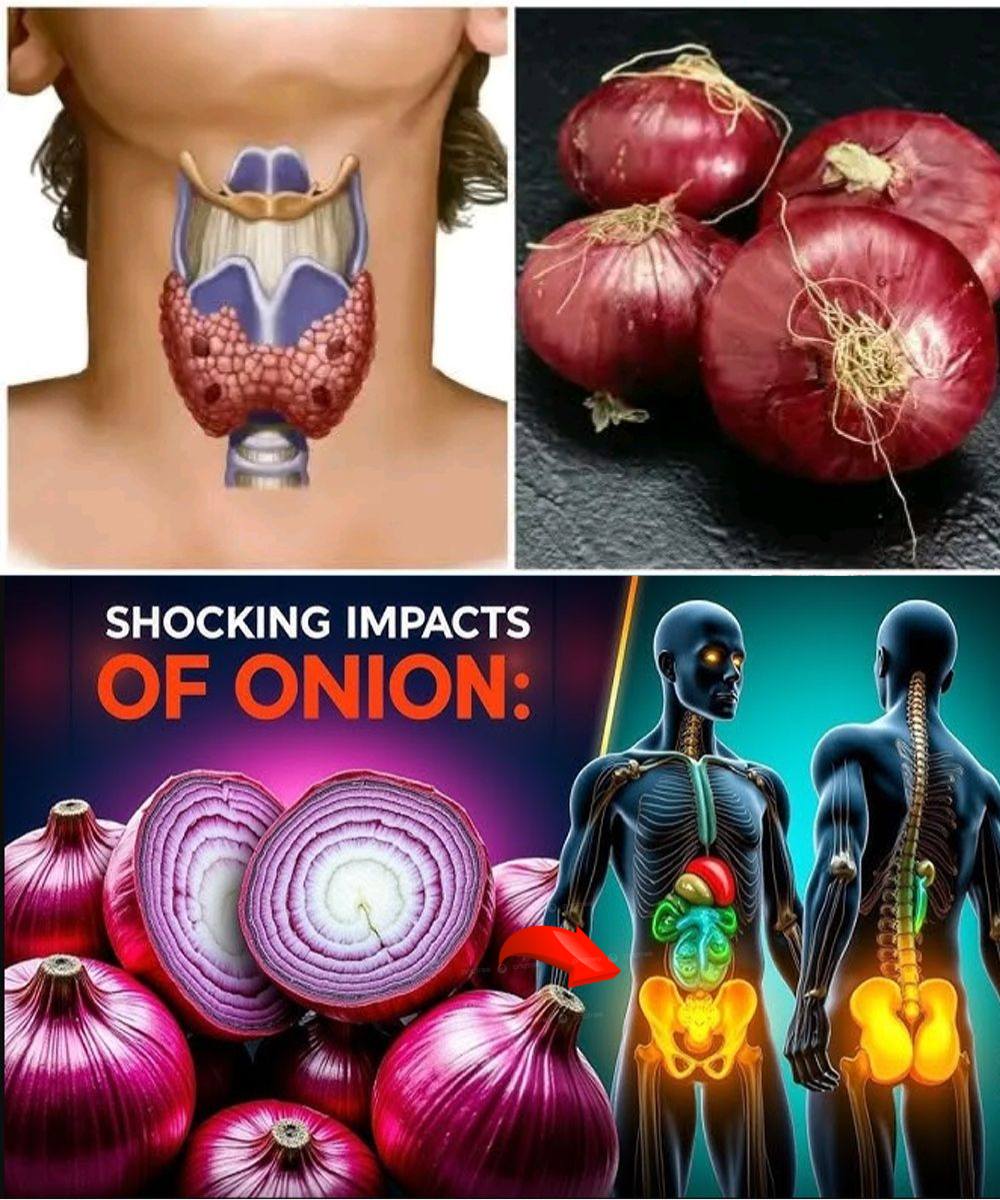 The Surprising Health Benefits of Onions 1