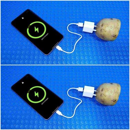 How to Use a Potato to Create Free Electricity and Charge Your Phone 1