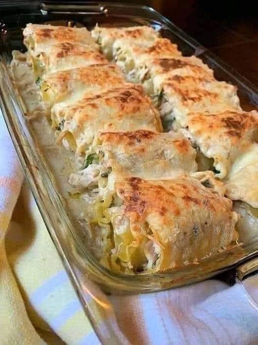 Chicken Alfredo Lasagna Rolls Recipe 1