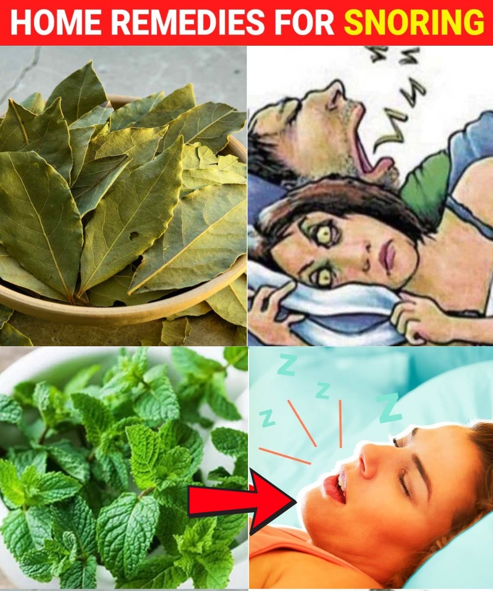 Natural Remedies for Snoring: Leaves That May Help You Sleep Better 1