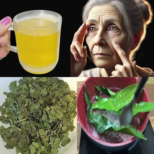 Incredible! The Tea That Improves Vision, Controls Diabetes, and Lowers Cholesterol – Mango Leaf Tea 1