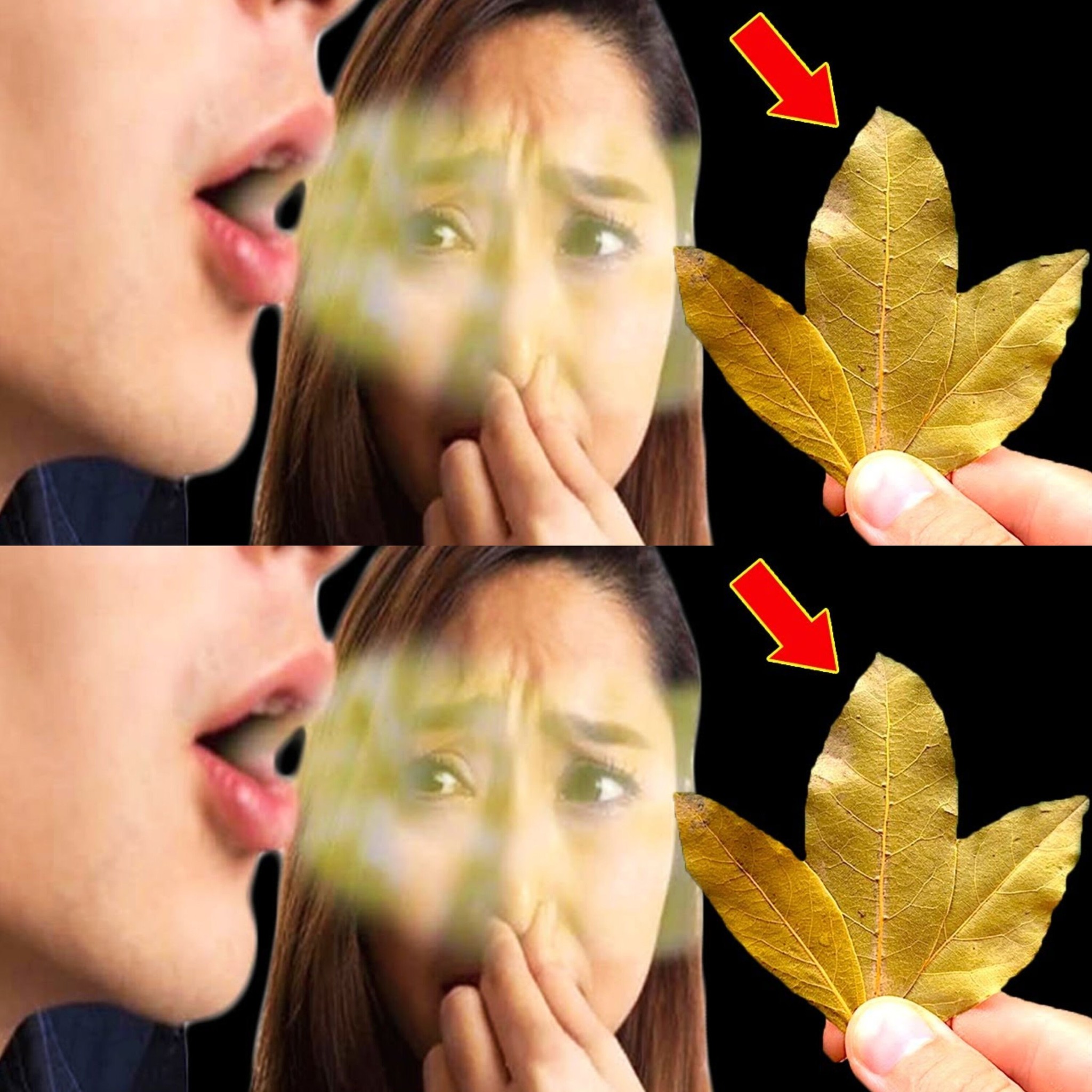 Eliminates Bad Breath Instantly 1