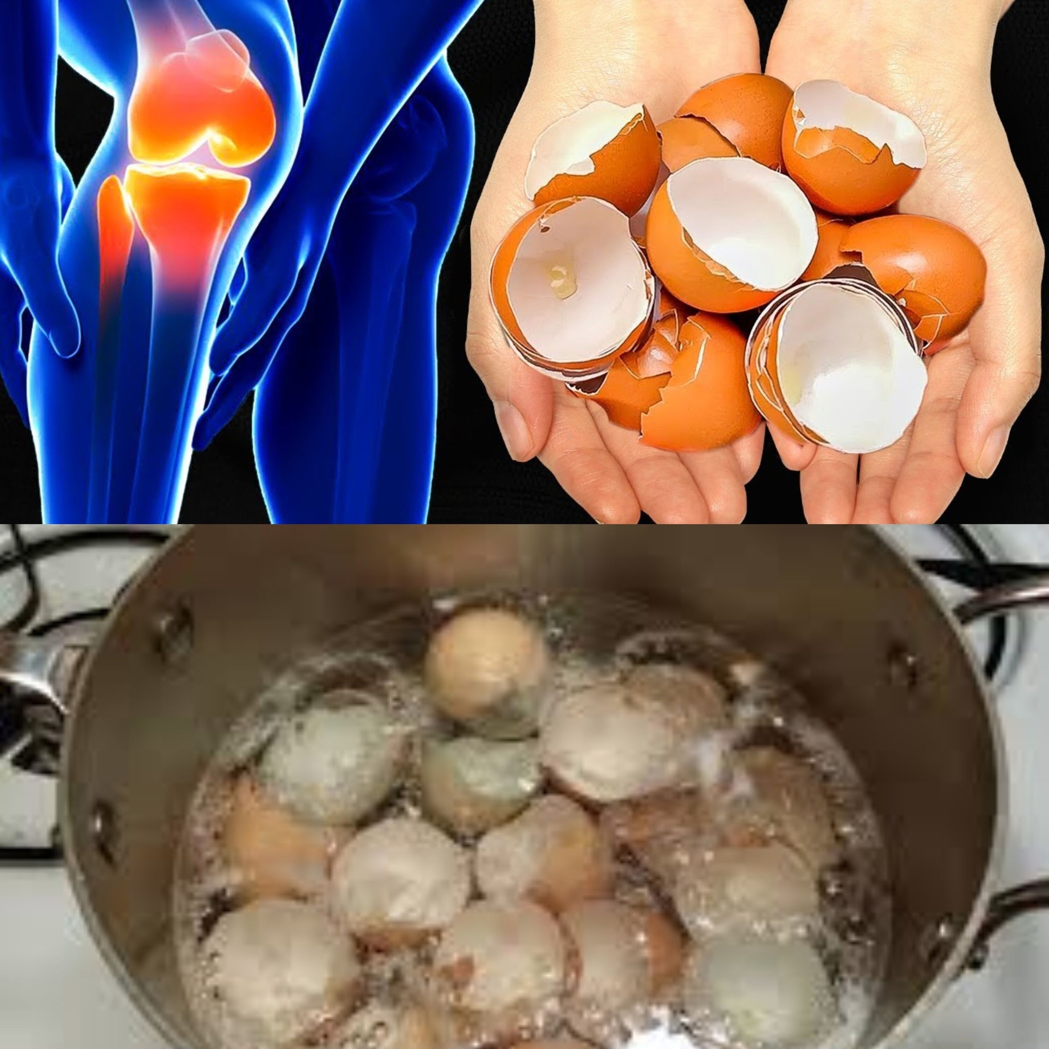 The Power of Eggshells 1