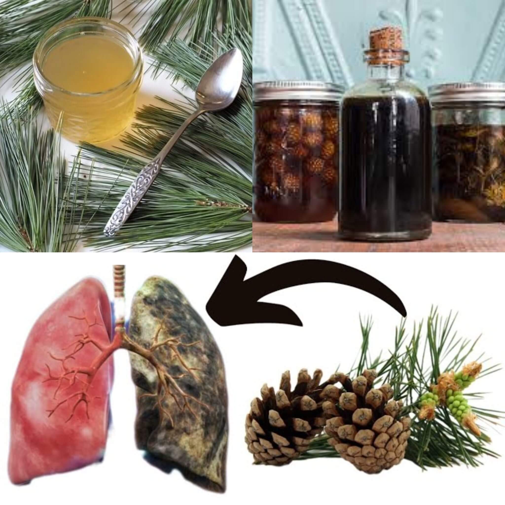 The most potent natural remedy for sick lungs 1