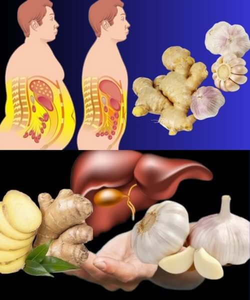 These 2 Ingredients Burn Fat Like a Furnace! 100% Effective – Ginger & Garlic Furnace! 1