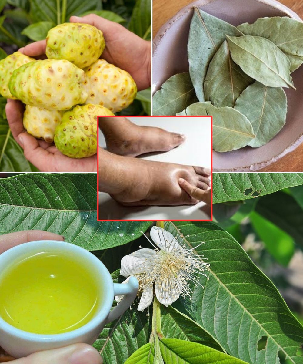 Say Goodbye to Cancer, Swollen Feet, Diabetes, and Poor Circulation with This Natural Recipe 1