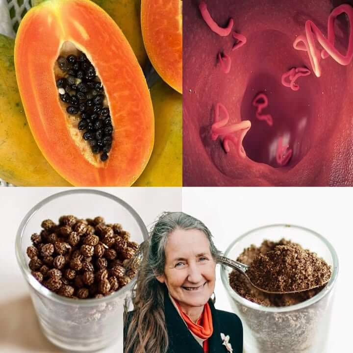 Discover the Secret Potential of Papaya Seeds 1