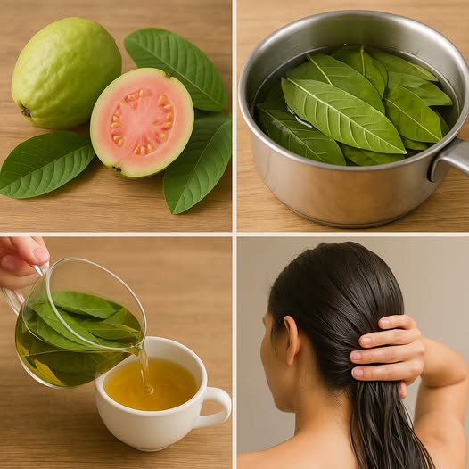 Boil Guava Leaves for These Amazing Health Advantages 1