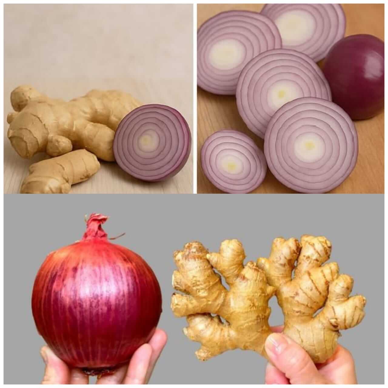Strong Natural Blend for Improved Health Ginger with Red Onion 1