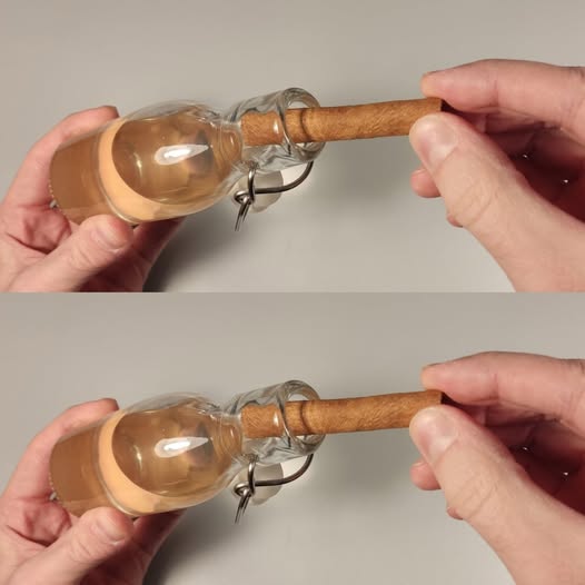 Cinnamon and Vinegar: A Natural Cleaning Power Duo 1