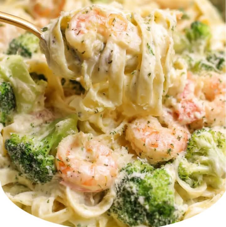 Mediterranean Shrimp Alfredo Fettuccine & Broccoli 1