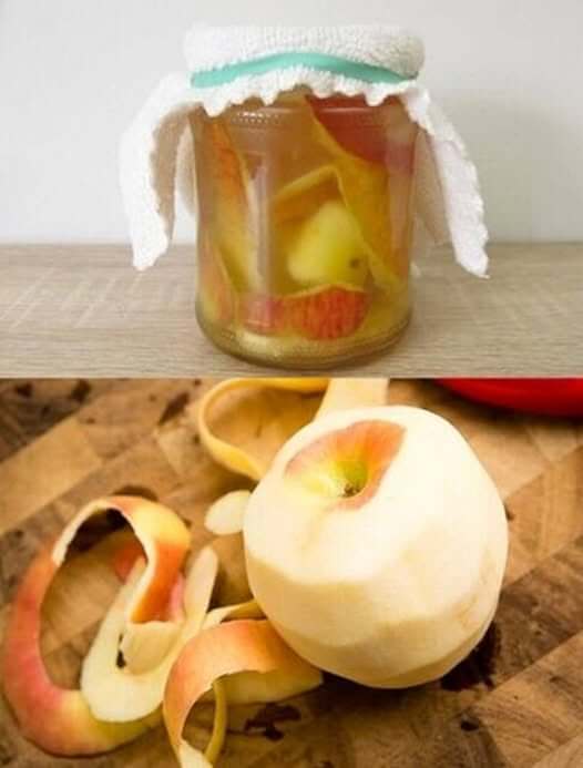 NEVER THROW AWAY APPLE PEELS: SOAK THEM IN A GLASS OF VINEGAR 1