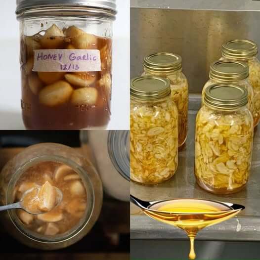 Honey, Lemon, Onion, Garlic & Ginger One Teaspoon a Day for a Natural Boost 1