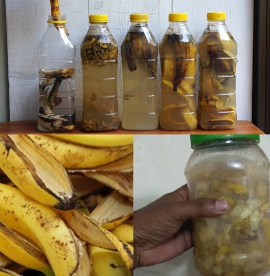 Place Banana Peels in a Bottle – You’ll Be Amazed at What Happens 1