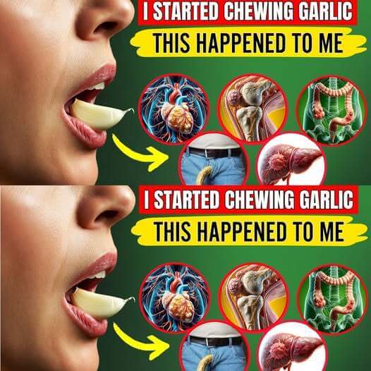 Unlock the Power of Garlic: Chew Two Cloves Daily for Better Health 1