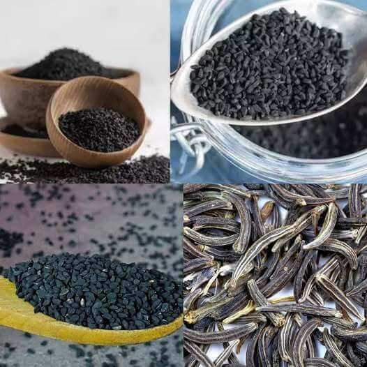 Discover the Power of Black Cumin Seed 1